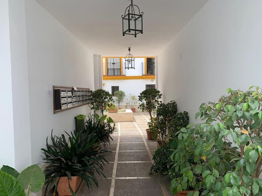 Pilsev Center Apartment Sevilla Eksteriør billede